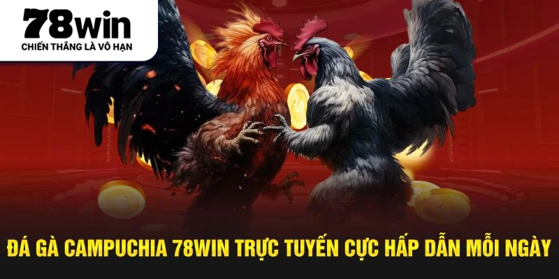 Đá Gà Campuchia 78Win Trực Tuyến Cực Hấp Dẫn Mỗi Ngày
